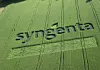 09 syngenta logo-in-field-1-highres
