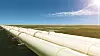 Pipelines in Sommerlandschaft