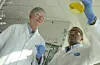 SCIENTISTS AT WORK IN GROTON-NEW LONDON LABORATORIES