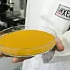 Quality control of yellow iron oxide pigments in the laboratory