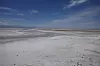 alzsee Salar de Atacama in Chile