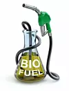 Biofuel aus Mikroalgen gilt als die nächste Generation der Biotreibstoffe.