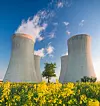 Cooling towers of a nuclear power plant with steam escaping toward the sky. Flowering landscape in the foreground, and a single tree growing between the two sets of towers.