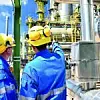 chemical industry plant - workers in work clothes in a refinery