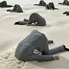 Herren stecken Kopf in den Sand