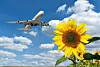 Flugzeug und Sonnenblume
