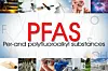Übersichtsgrafik zu PFAS.