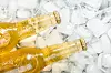 Bottles of cold and fresh beer with ice
