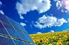 Photovoltaikanlage auf Sonnenblumenfeld vor blauem Himmel mit weißen Wolken; Solarstrom, erneuerbare Energie