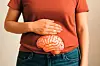Eine weibliche Person hält eine Hand auf ihren Bauch, darunter ist ein menschliches Gehirn