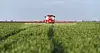 Tractor spraying pesticides wheat field.