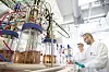 Forscher im Labor neben Glasreaktoren und technischen Leitungen in einer Biotechnologie-Anlage.