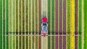 Traktor bearbeitet ein Feld mit langen, parallel verlaufenden Streifen aus Grün, Braun und Gelb.