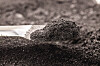 Batteriematerial, Cobalt Powder Coarse Mesh 99.9 High Fluid Cobalt Metal, on isolated white background, industrial use black powder, industrial pigment
