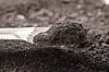 Batteriematerial, Cobalt Powder Coarse Mesh 99.9 High Fluid Cobalt Metal, on isolated white background, industrial use black powder, industrial pigment