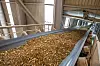 Förderbänder werden häufig zum Transport von Materialien im Bergbau und in anderen Anwendungen eingesetzt.